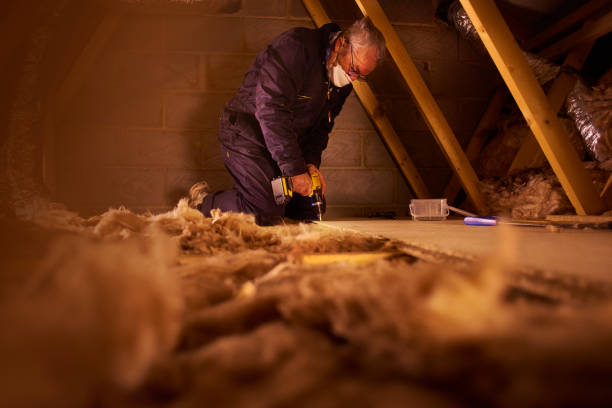 Professional Insulation Contractor in Wyoming, MN